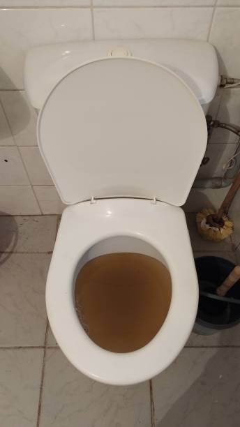 toilet unbloked